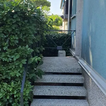 Mare Di Lavanda Grado